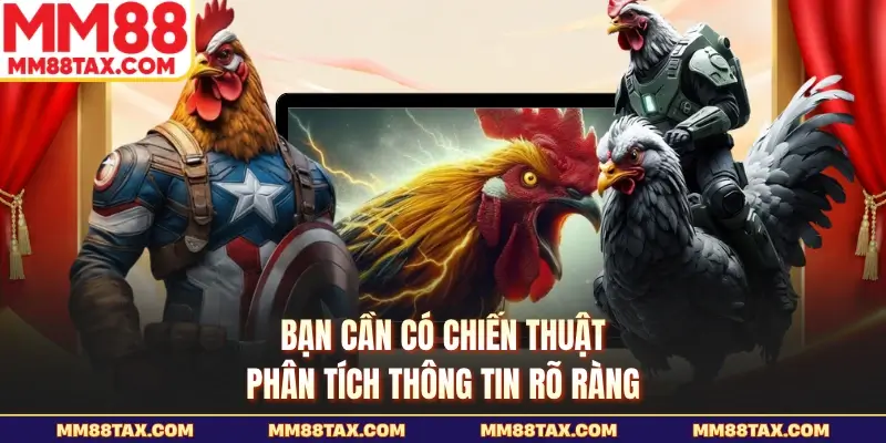 Luật Chơi Đá Gà Cựa Dao Chi Tiết Dành Cho Hội Viên MM88 5 Bạn cần có chiến thuật phân tích thông tin rõ ràng