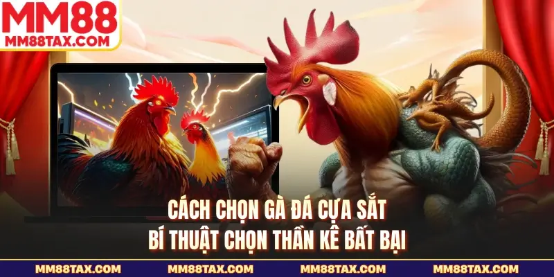Cách Chọn Gà Đá Cựa Sắt - Bí Thuật Chọn Thần Kê Bất Bại 1 Cách chọn gà đá cựa sắt