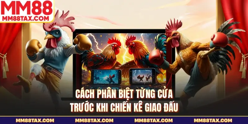 Luật Chơi Đá Gà Thomo - Đọc Chuẩn Để Vào Trận Tại MM88 4 Cách phân biệt từng cửa trước khi chiến kê giao đấu