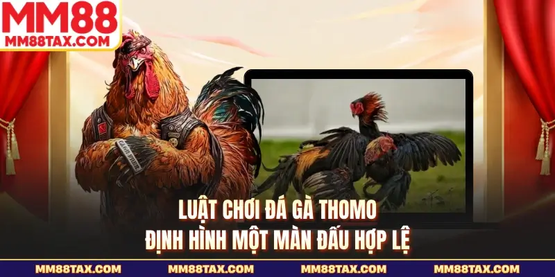 Luật Chơi Đá Gà Thomo - Đọc Chuẩn Để Vào Trận Tại MM88 3 Luật chơi đá gà Thomo định hình một màn đấu hợp lệ