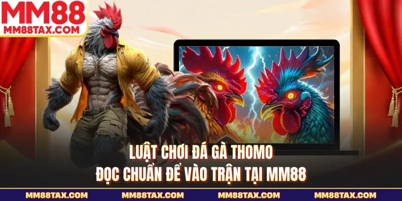 Luật Chơi Đá Gà Thomo - Đọc Chuẩn Để Vào Trận Tại MM88 1 Luật chơi đá gà thomo